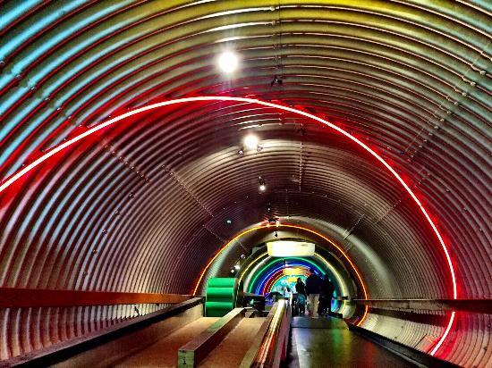 ブルックリン子供博物館